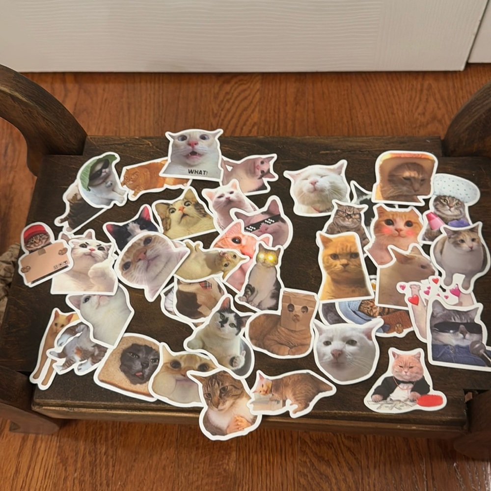 STICKER Lot -  NEW Water Bottle Stickers Cat Memes